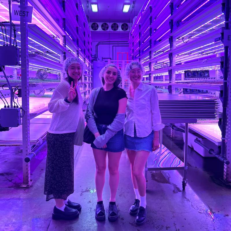 UW students tour Farmbox Greens indoor hydroponic farm in Seattle for inspiration in their hydroponic designs.